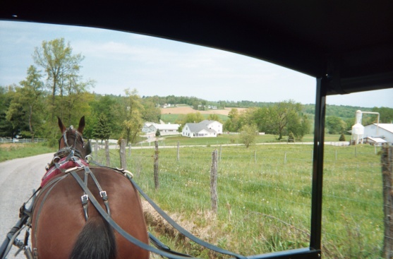 Riding an Amish buggy in Ohio, USA